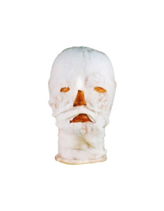 Masque facial hydrogel...