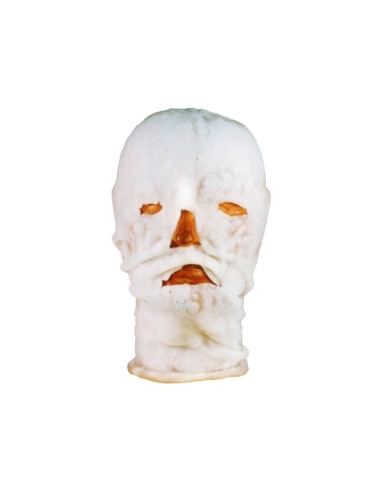 Masque facial hydrogel Bursnshield