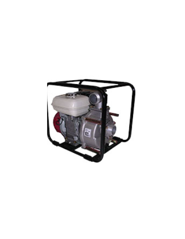 MOTOPOMPE TDS2 50HA EAU CHARGEE AVEC...