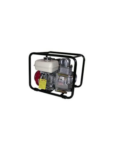 Motopompe TDS 2 80 HA eau chargée...