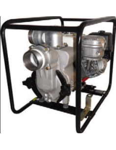 MOTOPOMPE TED2 100HA EAU...